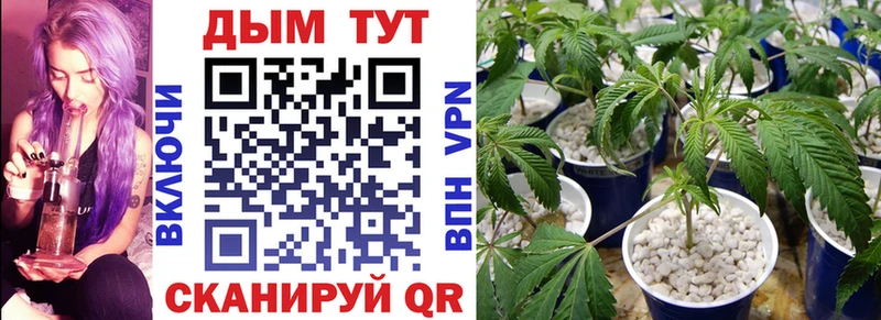 Купить закладку Сокол Гашиш A-PVP Амфетамин COCAIN Мефедрон
