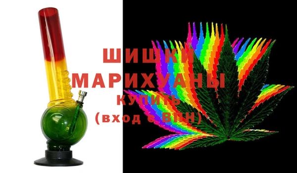 индика Алзамай