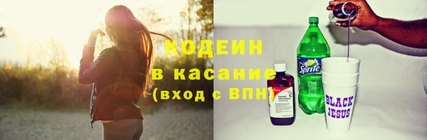 индика Алзамай