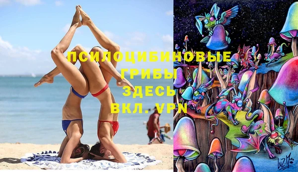 герыч Алексин