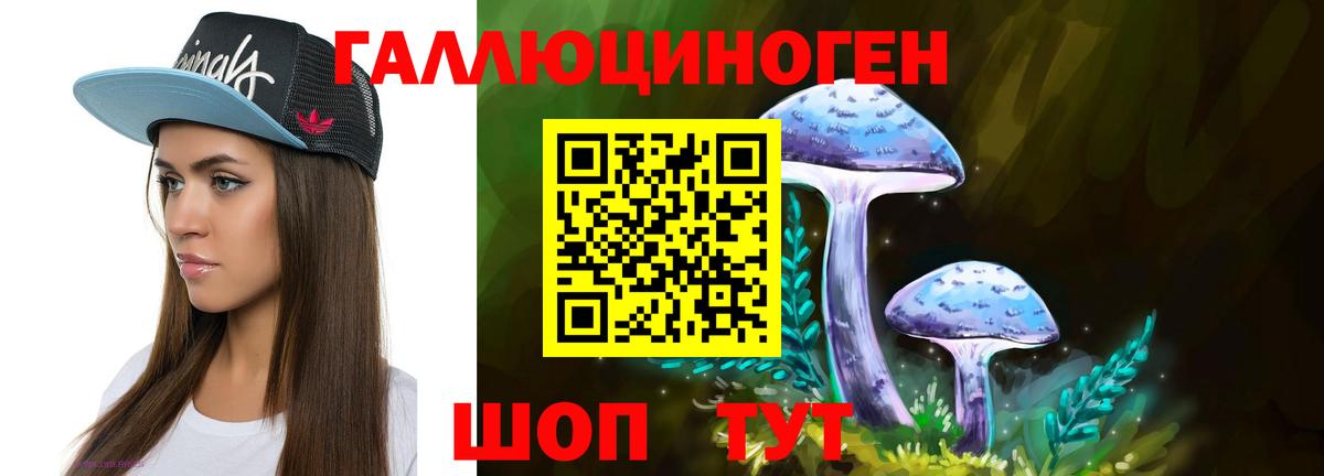 Псилоцибиновые грибы ЛСД Сокол
